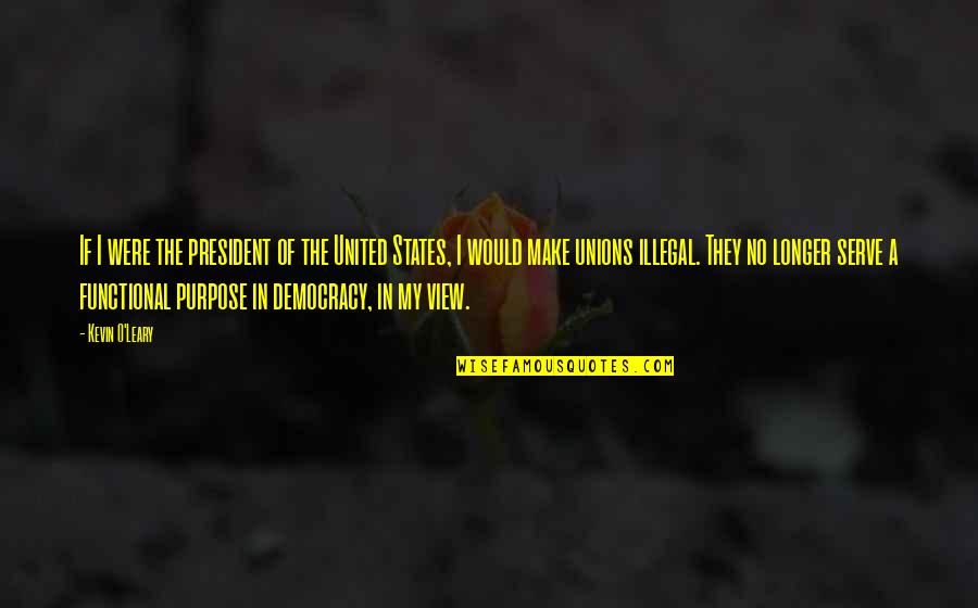 Corn Maze Quotes By Kevin O'Leary: If I were the president of the United
