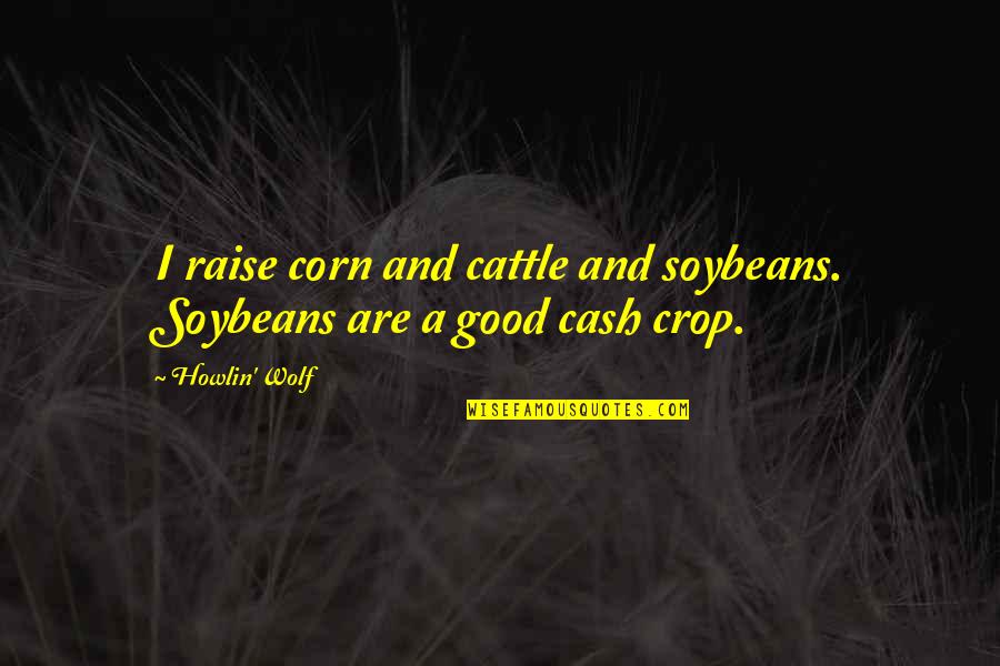 Corn Quotes By Howlin' Wolf: I raise corn and cattle and soybeans. Soybeans