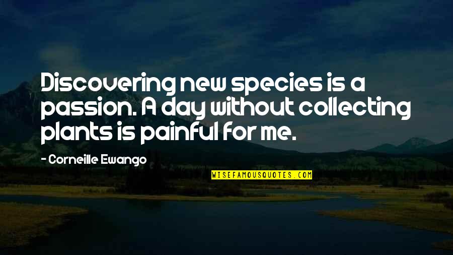 Corneille Quotes By Corneille Ewango: Discovering new species is a passion. A day