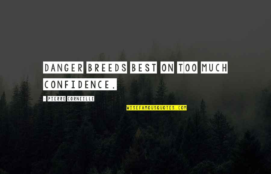 Corneille Quotes By Pierre Corneille: Danger breeds best on too much confidence.