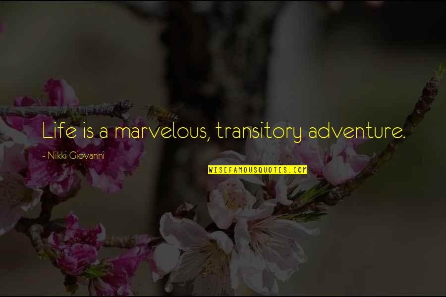 Cornejo And Sons Quotes By Nikki Giovanni: Life is a marvelous, transitory adventure.