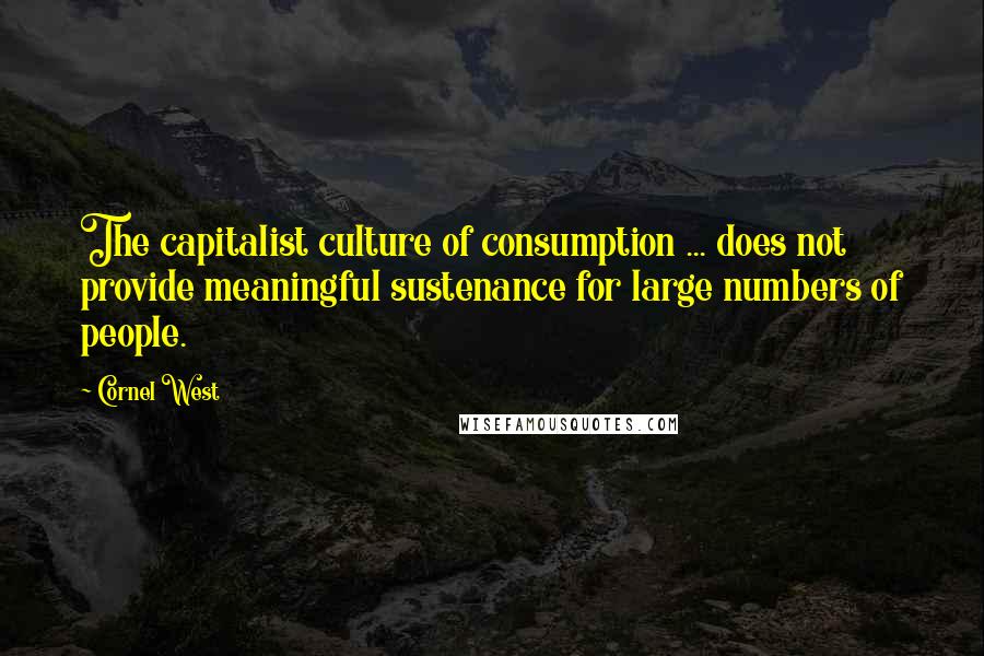 Cornel West quotes: The capitalist culture of consumption ... does not provide meaningful sustenance for large numbers of people.