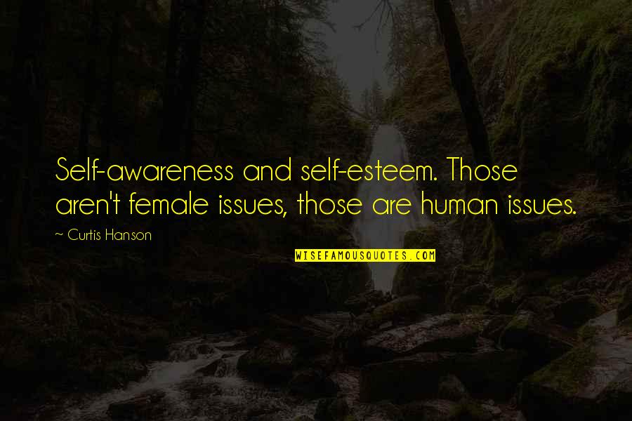 Cornelis En Quotes By Curtis Hanson: Self-awareness and self-esteem. Those aren't female issues, those