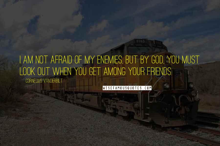 Cornelius Vanderbilt quotes: I am not afraid of my enemies, but by God, you must look out when you get among your friends.