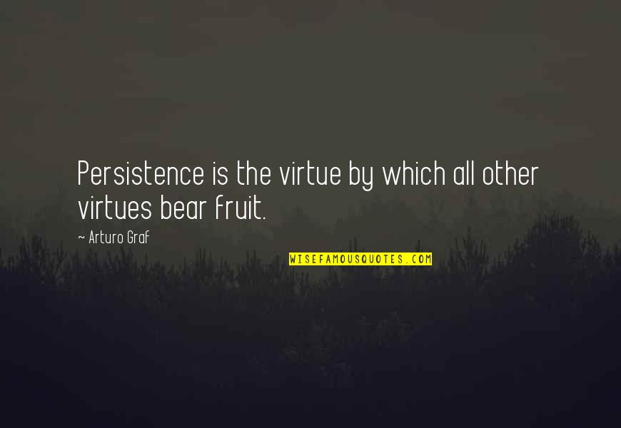 Corner Or Large Quotes By Arturo Graf: Persistence is the virtue by which all other