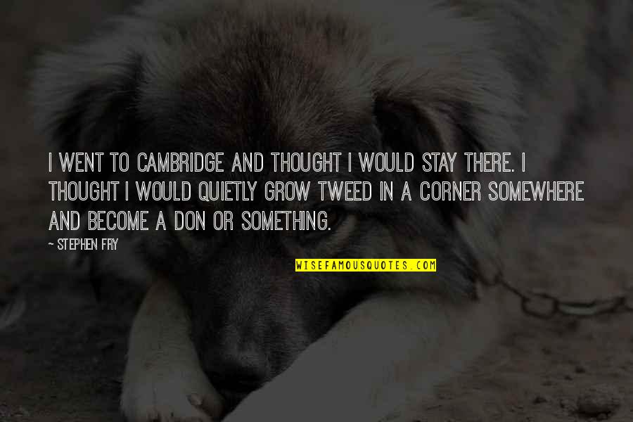 Corner Or Quotes By Stephen Fry: I went to Cambridge and thought I would