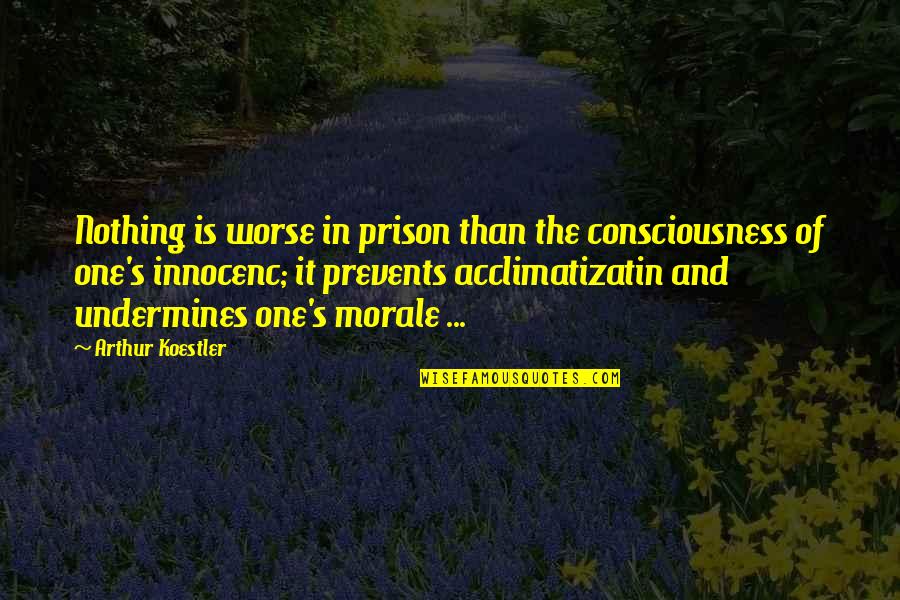 Cornerback Drills Quotes By Arthur Koestler: Nothing is worse in prison than the consciousness