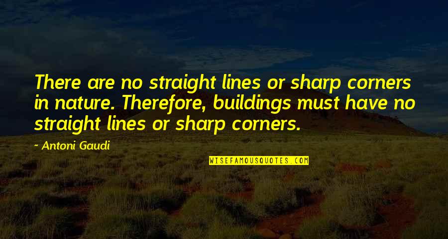 Corners Quotes By Antoni Gaudi: There are no straight lines or sharp corners