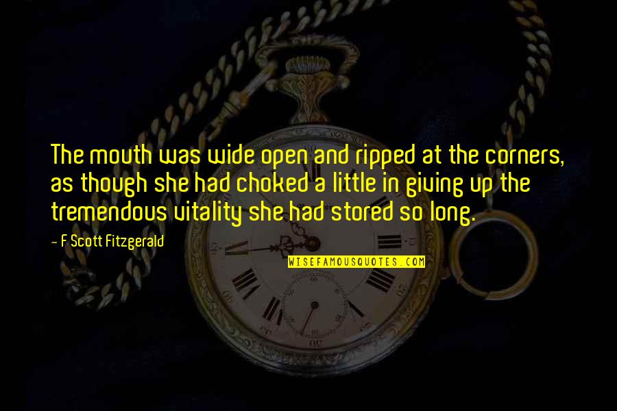 Corners Quotes By F Scott Fitzgerald: The mouth was wide open and ripped at