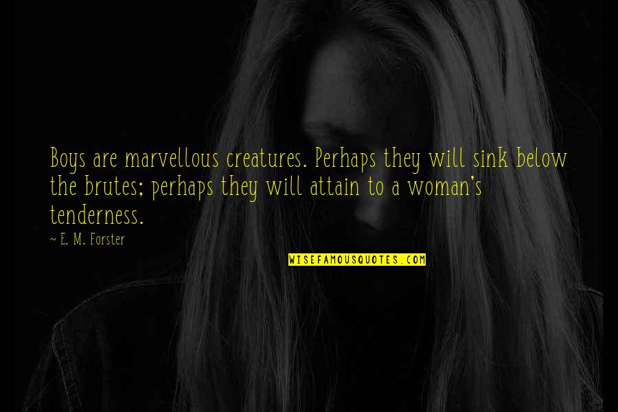 Cornisa Definicion Quotes By E. M. Forster: Boys are marvellous creatures. Perhaps they will sink Cornisa Definicion Quotes By E. M. Forster: Boys are marvellous creatures. Perhaps they will sink