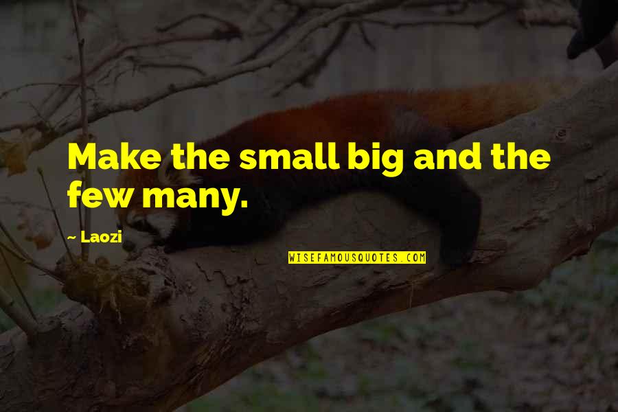 Cornisa En Quotes By Laozi: Make the small big and the few many.