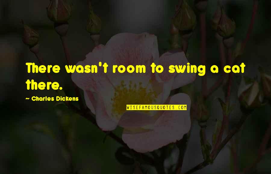 Cornucopianism Quotes By Charles Dickens: There wasn't room to swing a cat there.
