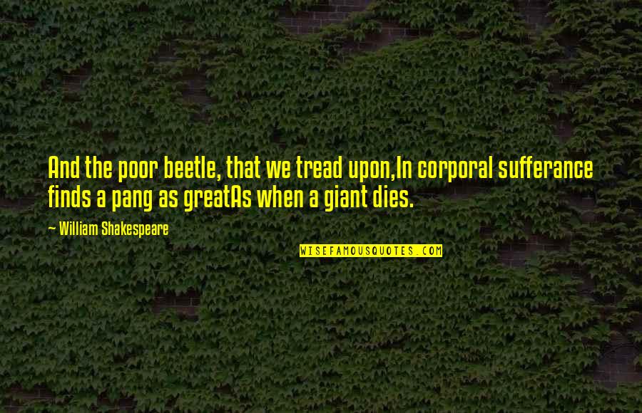 Corporal Quotes By William Shakespeare: And the poor beetle, that we tread upon,In