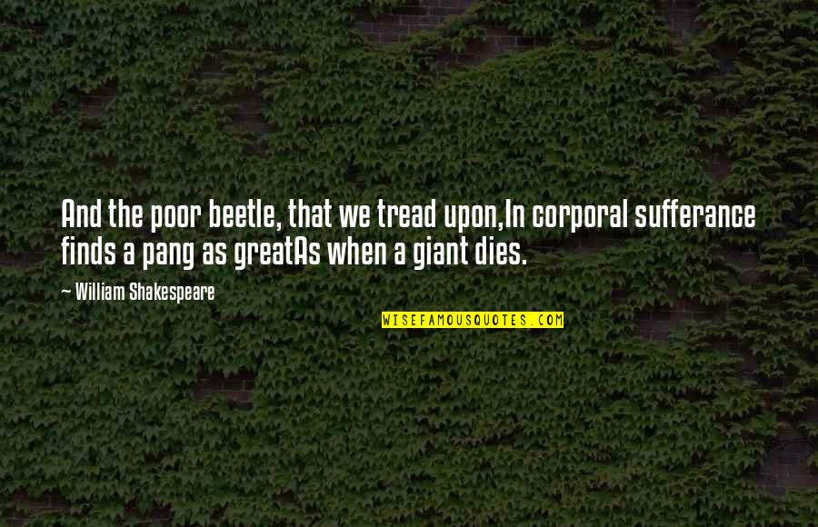 Corporal's Quotes By William Shakespeare: And the poor beetle, that we tread upon,In