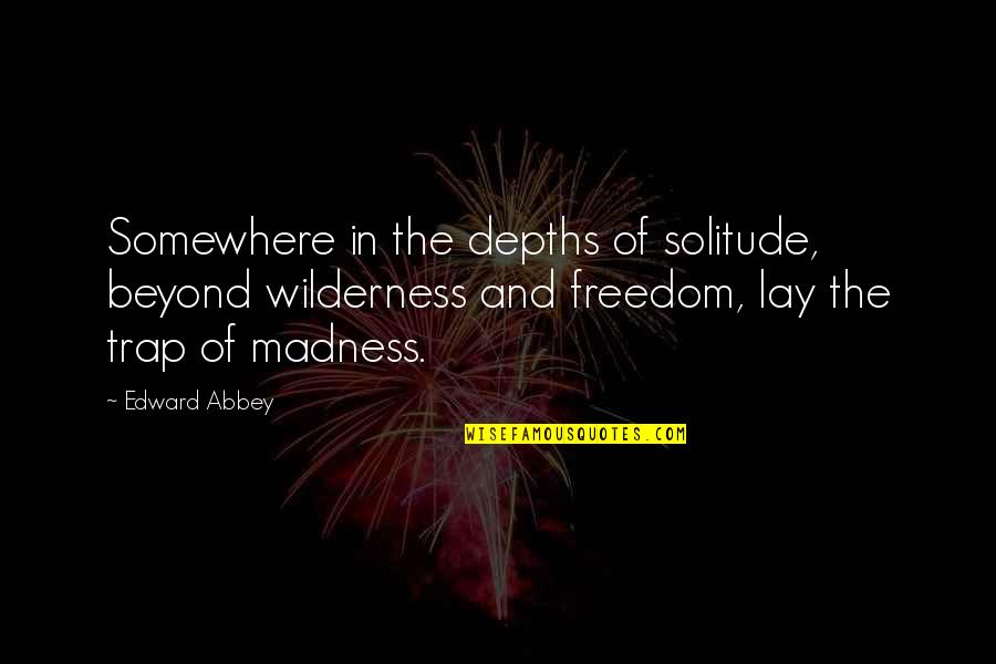 Corporate Learning Quotes By Edward Abbey: Somewhere in the depths of solitude, beyond wilderness Corporate Learning Quotes By Edward Abbey: Somewhere in the depths of solitude, beyond wilderness