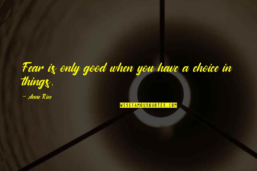 Corporate Team Outing Quotes By Anne Rice: Fear is only good when you have a