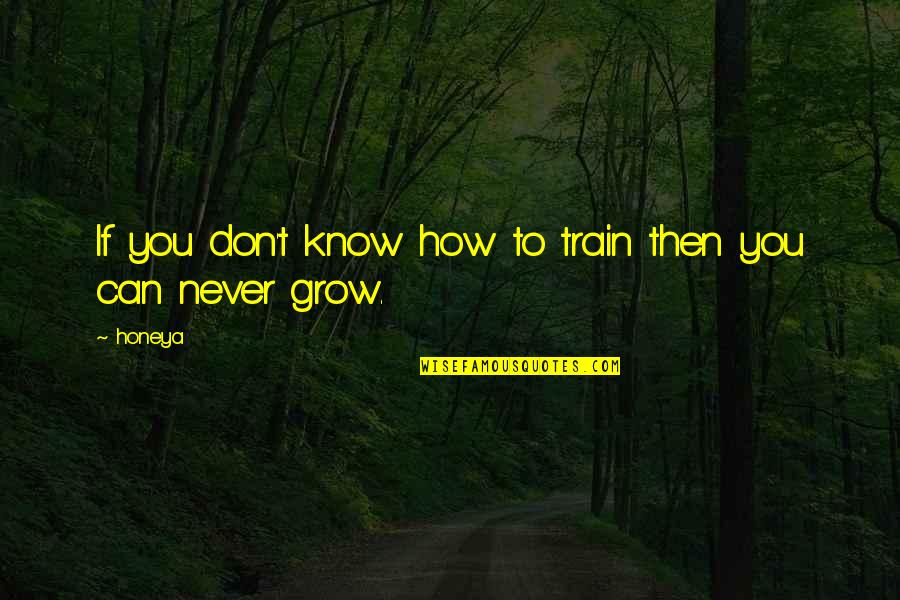 Corporate Training Quotes By Honeya: If you don't know how to train then