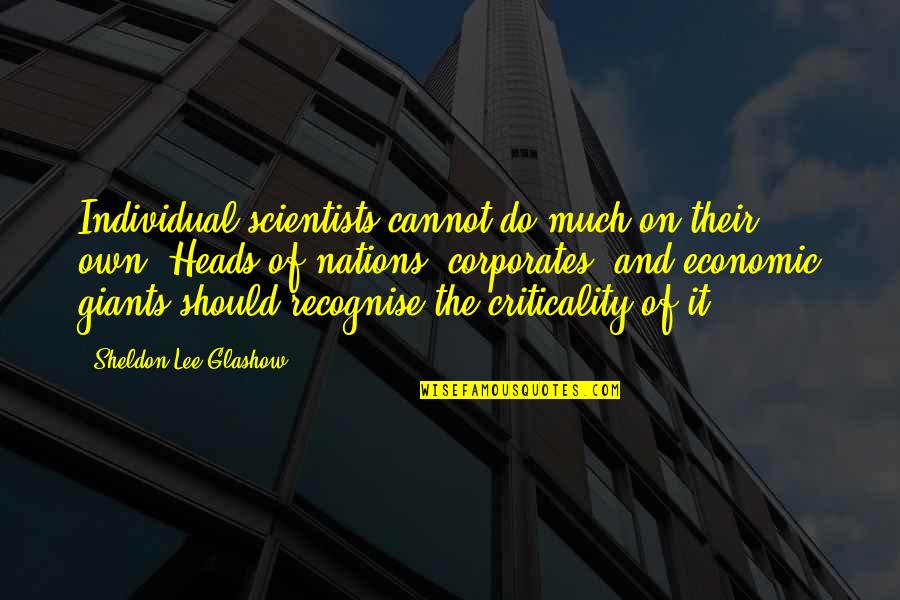 Corporates Quotes By Sheldon Lee Glashow: Individual scientists cannot do much on their own.