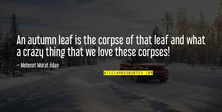 Corpses Quotes By Mehmet Murat Ildan: An autumn leaf is the corpse of that