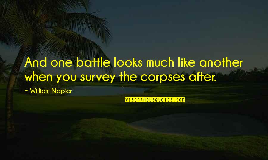 Corpses Quotes By William Napier: And one battle looks much like another when