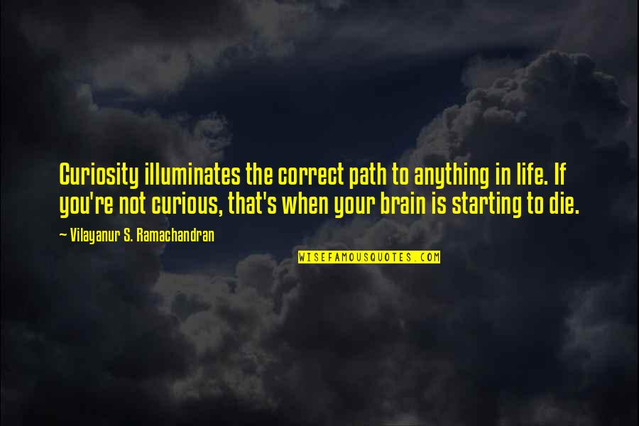 Correct Path Quotes By Vilayanur S. Ramachandran: Curiosity illuminates the correct path to anything in
