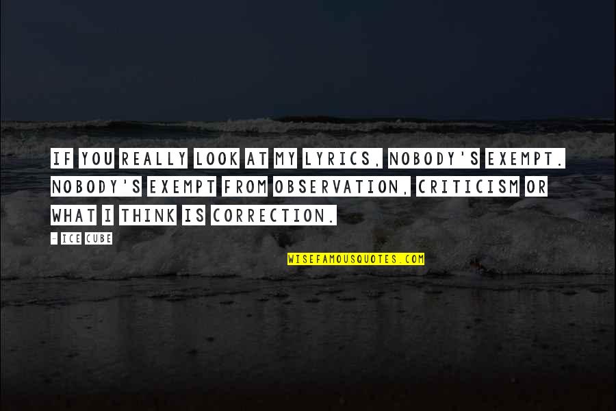 Correction Is Not Criticism Quotes By Ice Cube: If you really look at my lyrics, nobody's Correction Is Not Criticism Quotes By Ice Cube: If you really look at my lyrics, nobody's