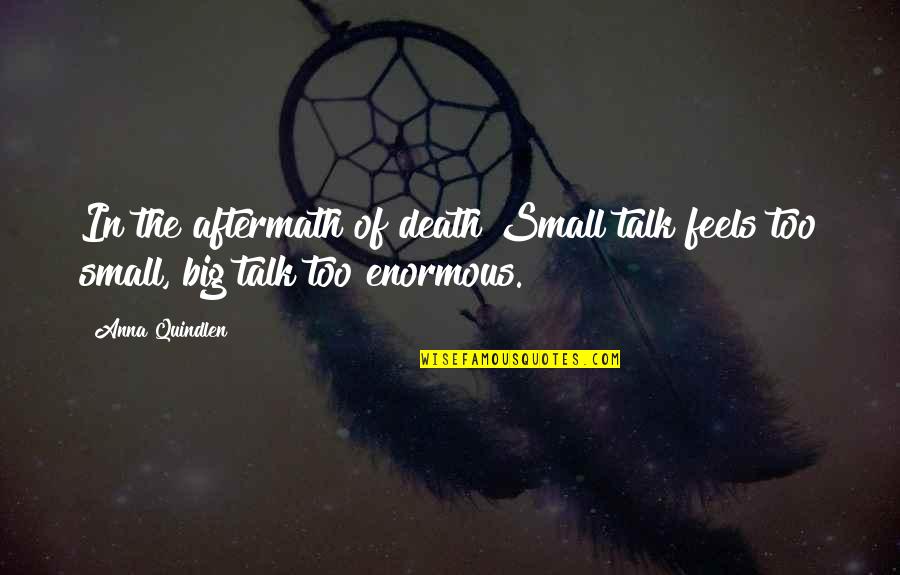 Corregir La Pantalla Quotes By Anna Quindlen: In the aftermath of death Small talk feels