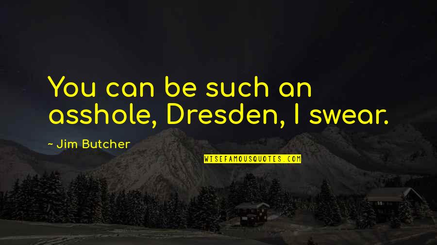 Correspondents Quotes By Jim Butcher: You can be such an asshole, Dresden, I