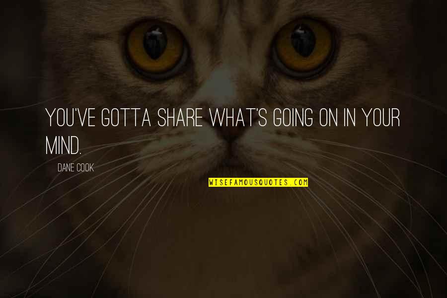 Corretto Global Recruit Quotes By Dane Cook: You've gotta share what's going on in your Corretto Global Recruit Quotes By Dane Cook: You've gotta share what's going on in your