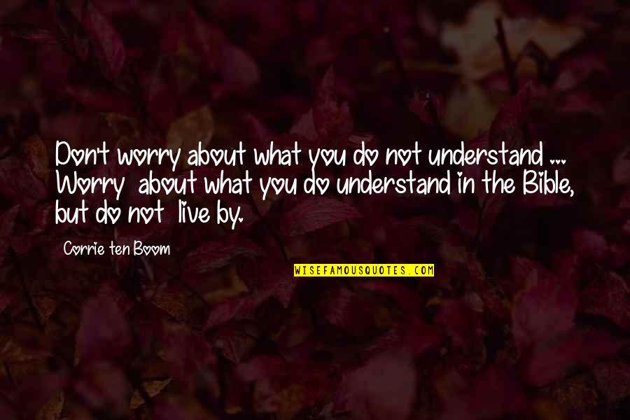 Corrie Quotes By Corrie Ten Boom: Don't worry about what you do not understand