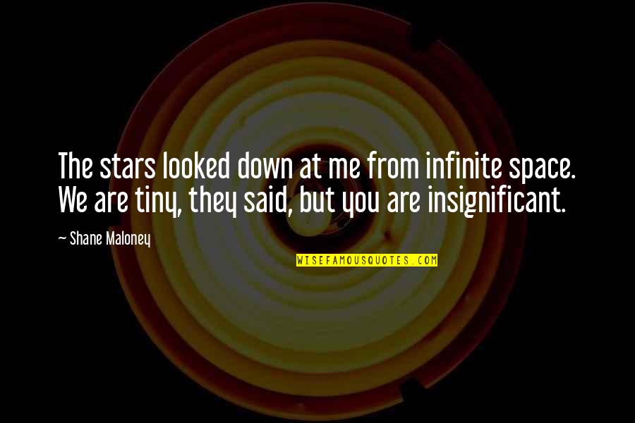 Corriger Anglais Quotes By Shane Maloney: The stars looked down at me from infinite