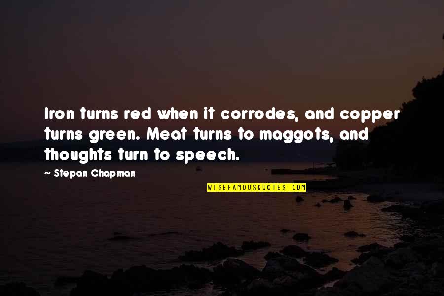 Corrodes Quotes By Stepan Chapman: Iron turns red when it corrodes, and copper