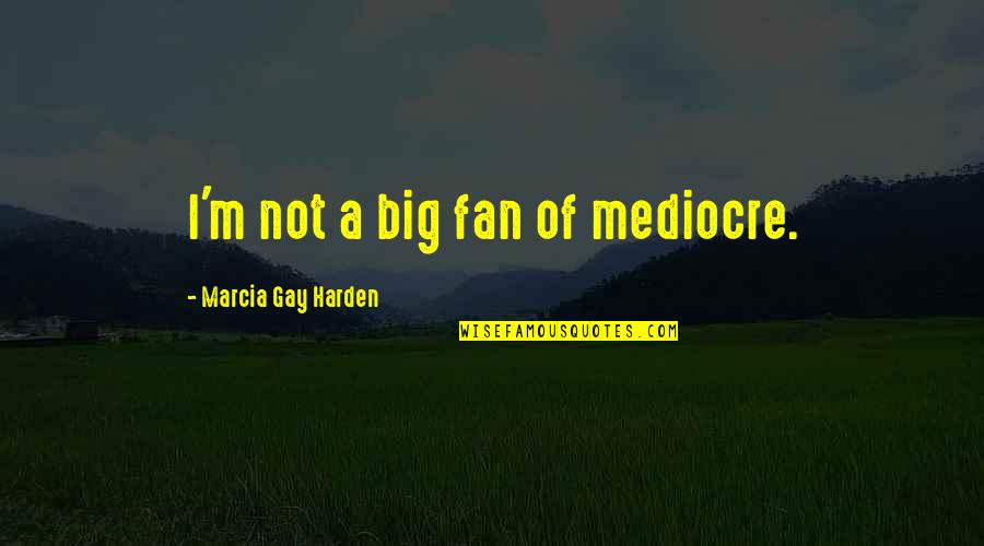 Corruption Of American Dream Quotes By Marcia Gay Harden: I'm not a big fan of mediocre.