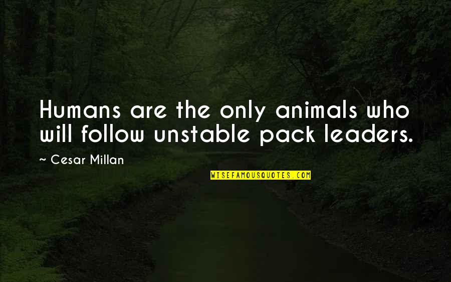 Corsie Soccer Quotes By Cesar Millan: Humans are the only animals who will follow