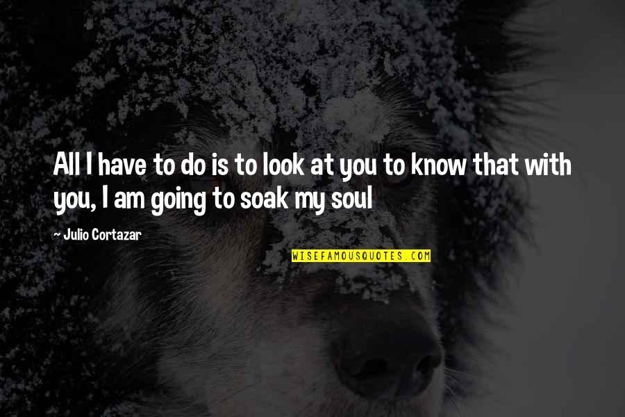 Cortazar Julio Quotes By Julio Cortazar: All I have to do is to look Cortazar Julio Quotes By Julio Cortazar: All I have to do is to look