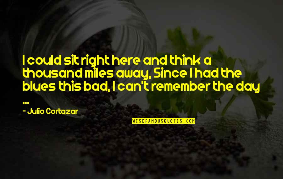 Cortazar Quotes By Julio Cortazar: I could sit right here and think a