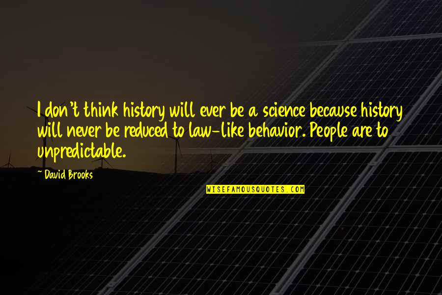 Cortical Vision Quotes By David Brooks: I don't think history will ever be a