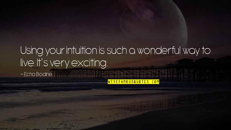Coruptia Ucide Quotes By Echo Bodine: Using your intuition is such a wonderful way