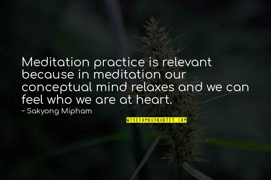 Corvalen Supplement Quotes By Sakyong Mipham: Meditation practice is relevant because in meditation our