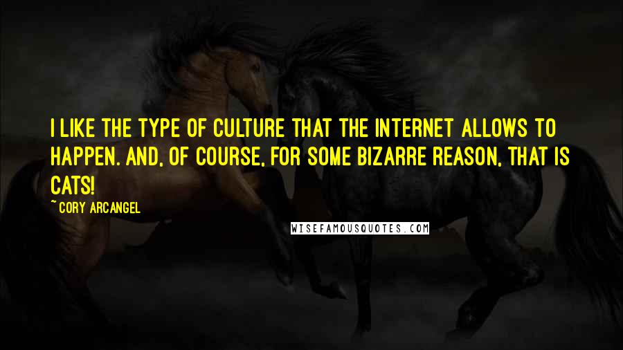Cory Arcangel quotes: I like the type of culture that the Internet allows to happen. And, of course, for some bizarre reason, that is cats!