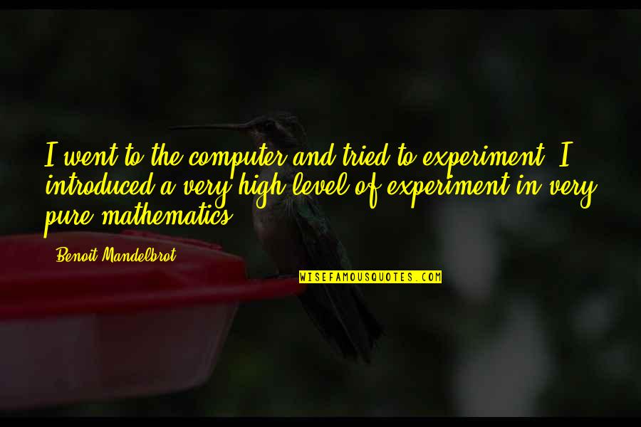 Cory Maxson Fences Quotes By Benoit Mandelbrot: I went to the computer and tried to Cory Maxson Fences Quotes By Benoit Mandelbrot: I went to the computer and tried to