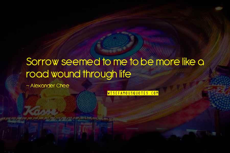 Coryatt Hunter Quotes By Alexander Chee: Sorrow seemed to me to be more like Coryatt Hunter Quotes By Alexander Chee: Sorrow seemed to me to be more like
