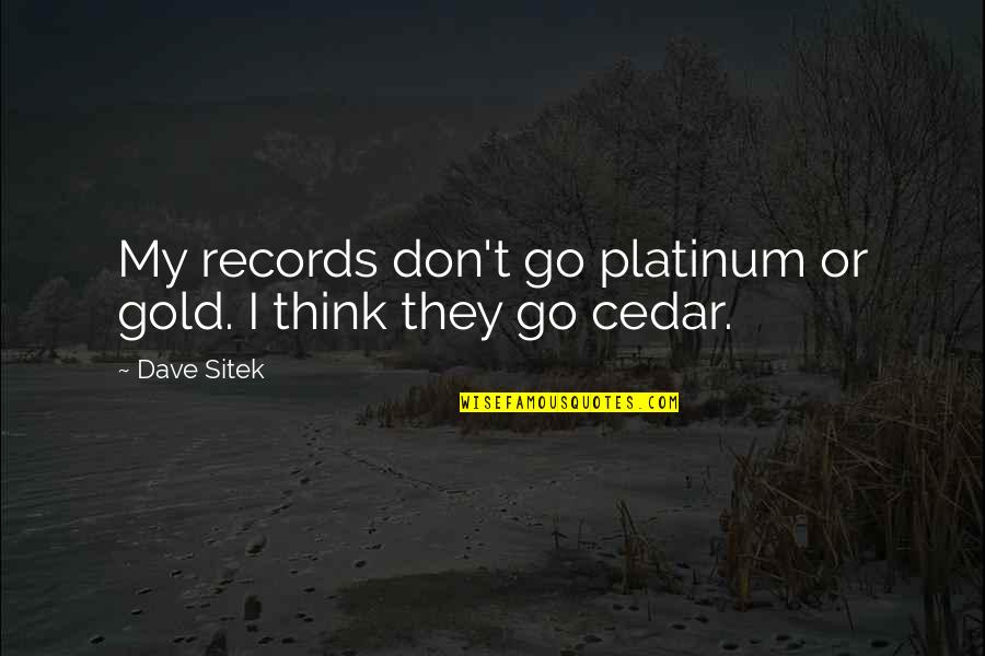 Corypheus Quotes By Dave Sitek: My records don't go platinum or gold. I