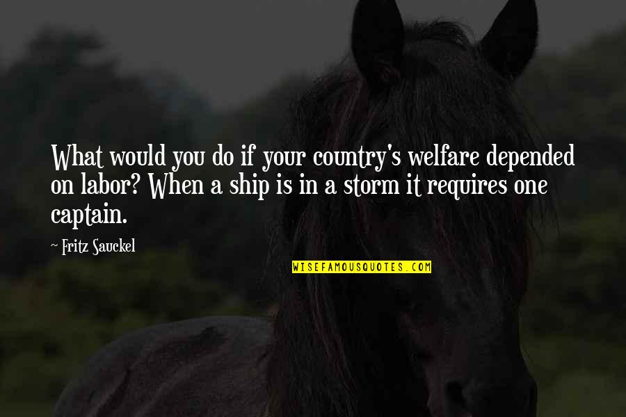 Cosette And Marius Quotes By Fritz Sauckel: What would you do if your country's welfare