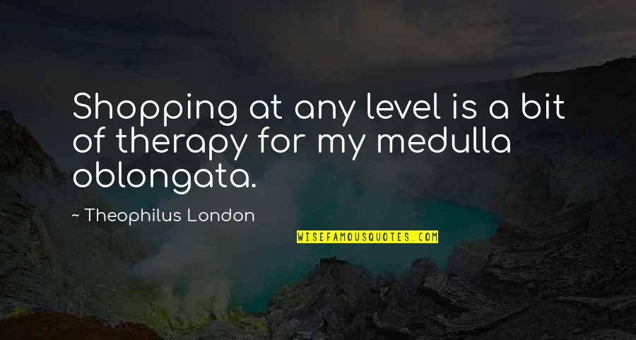 Cosiest 8 Quotes By Theophilus London: Shopping at any level is a bit of