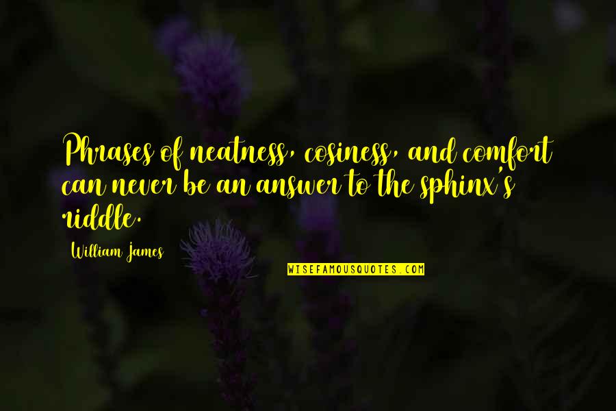 Cosiness Quotes By William James: Phrases of neatness, cosiness, and comfort can never