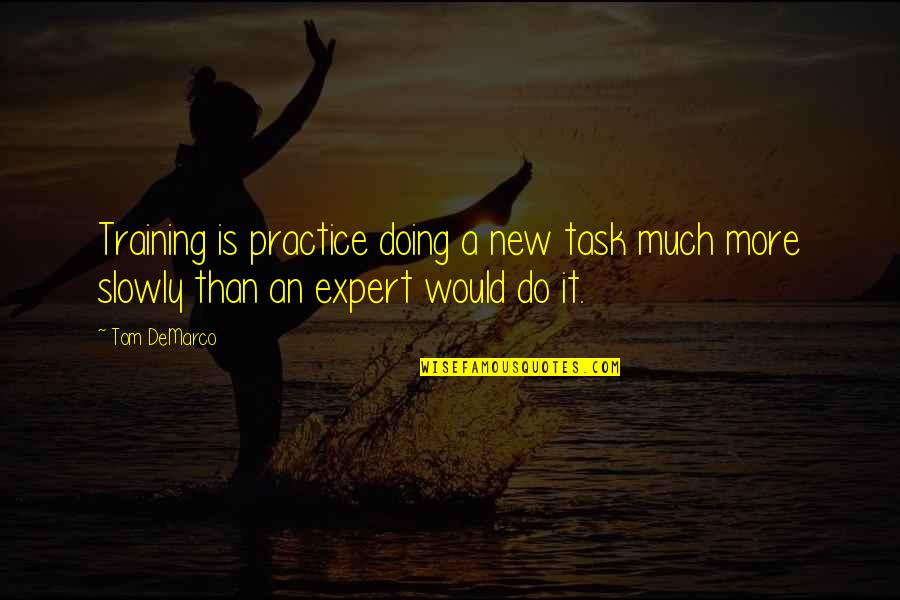 Cosmetology T Shirt Quotes By Tom DeMarco: Training is practice doing a new task much