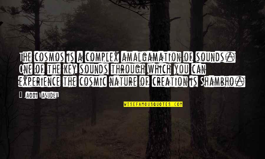 Cosmic Quotes By Jaggi Vasudev: The cosmos is a complex amalgamation of sounds.