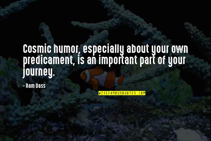 Cosmic Quotes By Ram Dass: Cosmic humor, especially about your own predicament, is