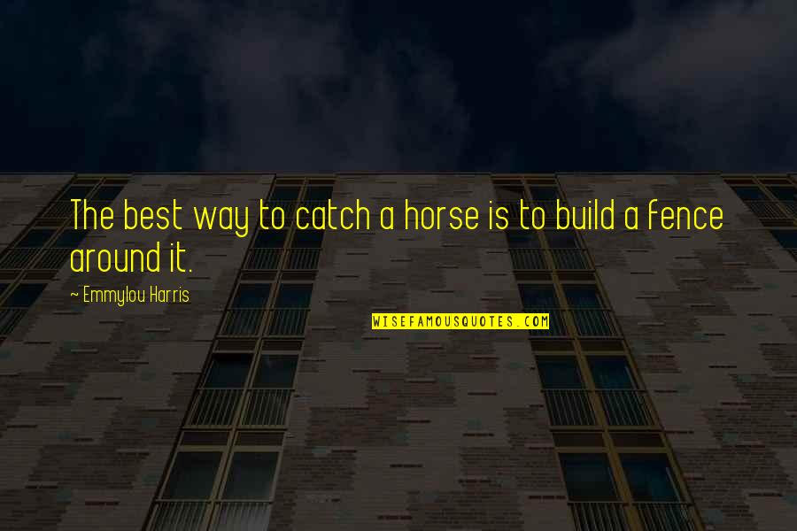 Cosmina Pasarin Quotes By Emmylou Harris: The best way to catch a horse is
